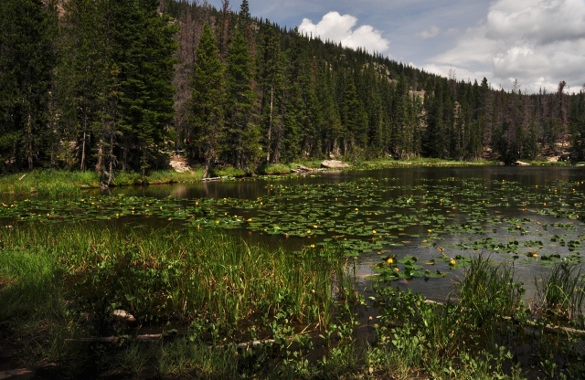 Nymph Lake